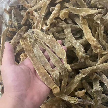 一德路市场进口大和黄沙虫批发，缅甸产黄沙虫价格