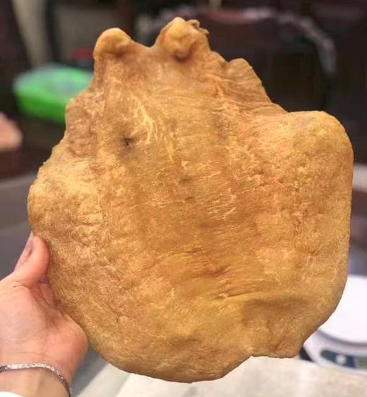 房胶