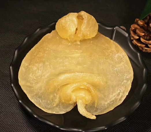 赤嘴鳘鱼胶