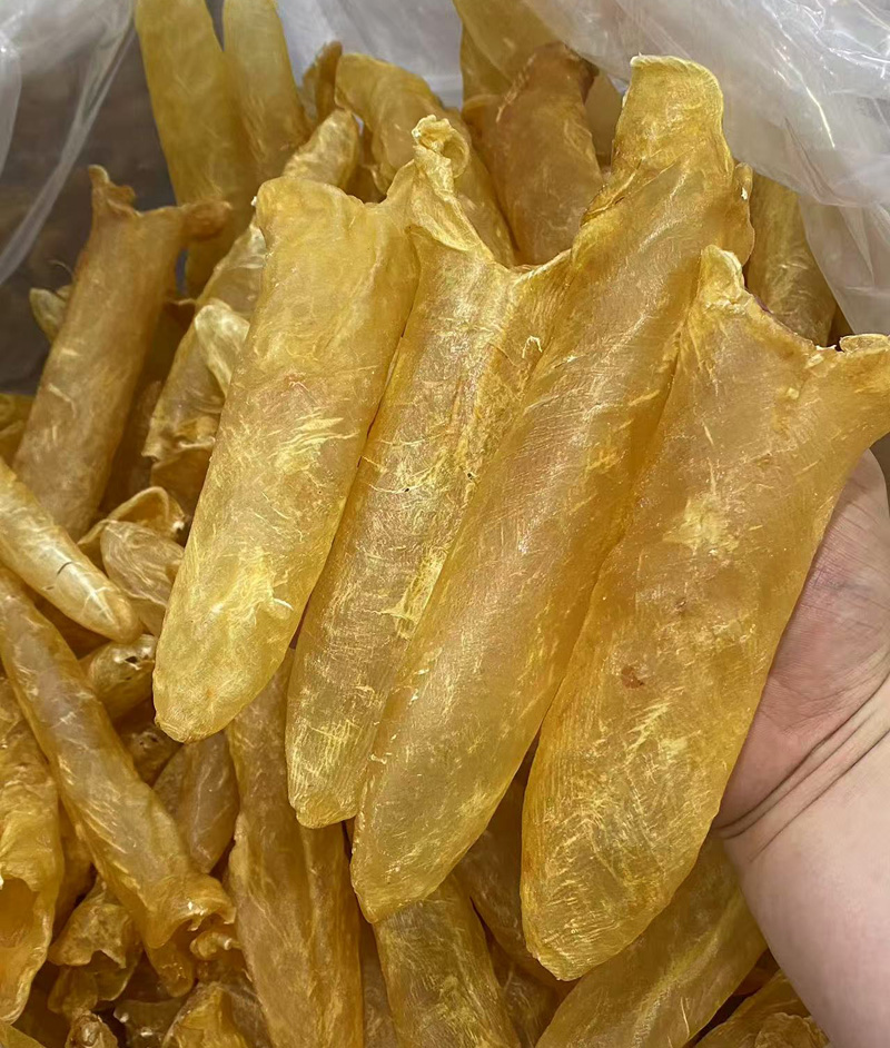 18头黄花胶