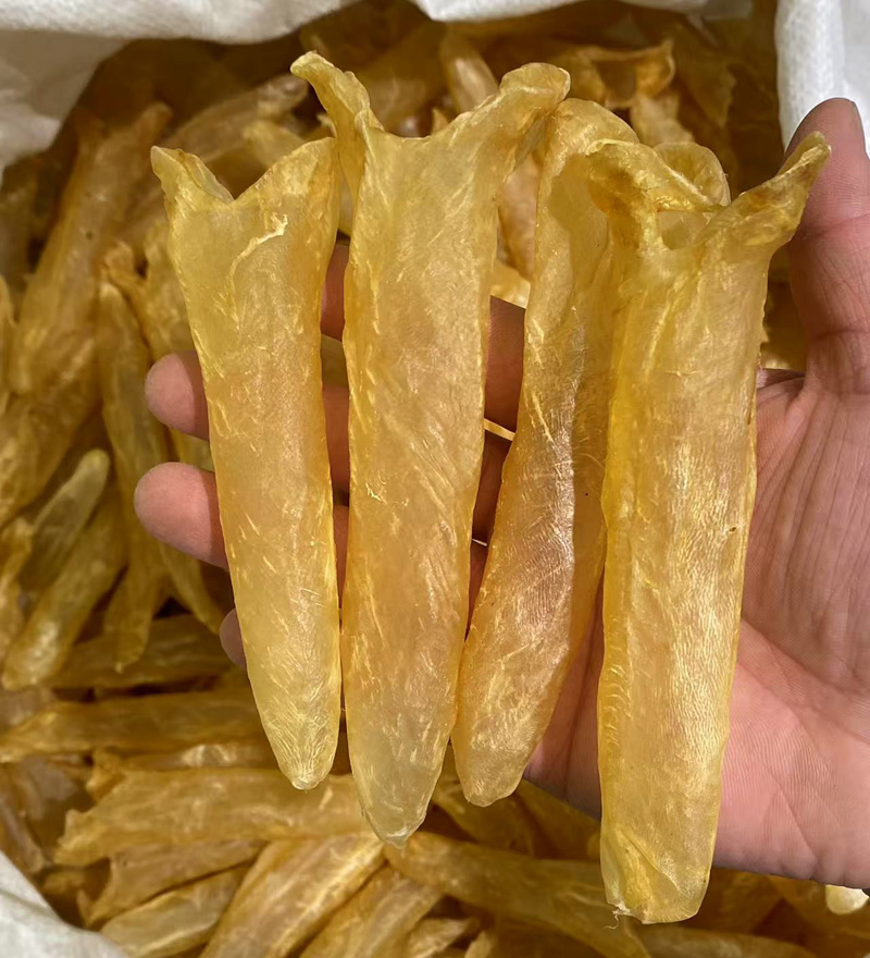 60头黄花胶